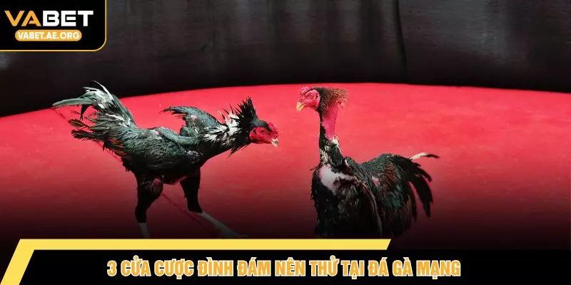 3 cửa cược đình đám nên thử tại đá gà mạng