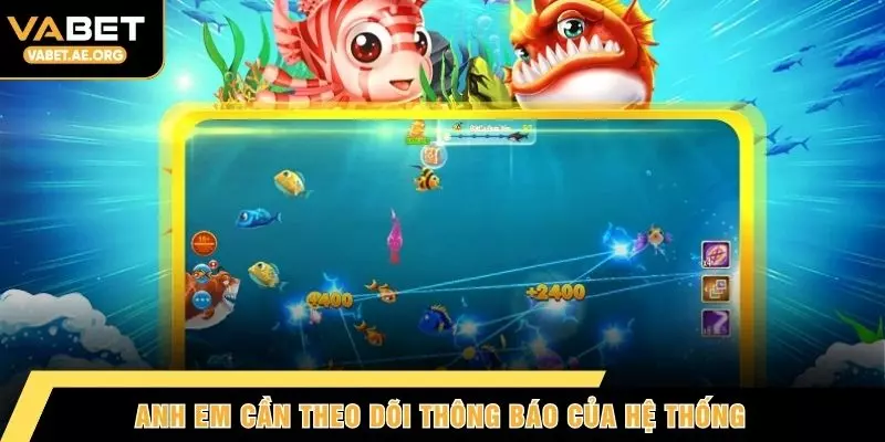 Anh em cần theo dõi thông báo của hệ thống