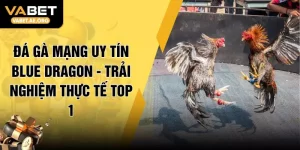 Đá Gà Mạng Uy Tín Blue Dragon - Trải Nghiệm Thực Tế Top 1