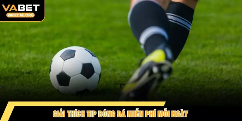 Giải thích tip bóng đá miễn phí mỗi ngày