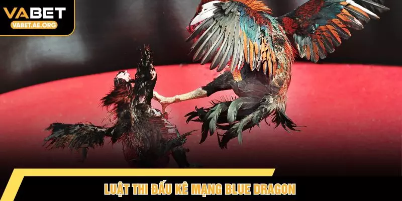 Luật thi đấu kê mạng Blue Dragon