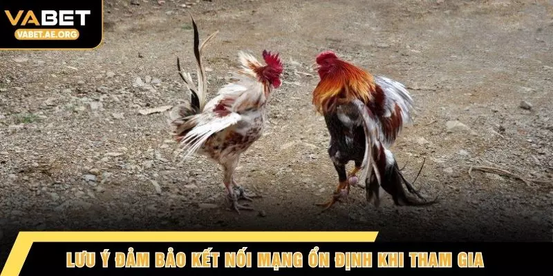 Lưu ý đảm bảo kết nối mạng ổn định khi tham gia