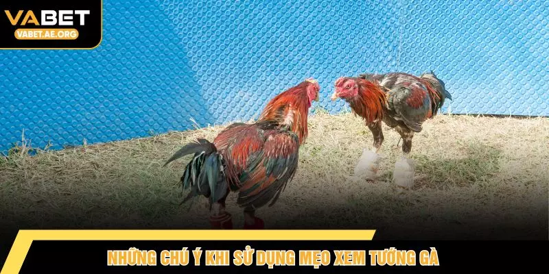 Những chú ý khi sử dụng mẹo xem tướng gà