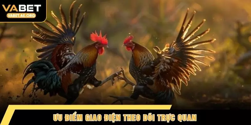Ưu điểm giao điện theo dõi trực quan